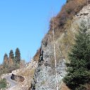 ���� Saltanat, ������, 67 ��� - ��������� 23 ������ 2013 � ������ ���� ����������