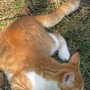 ���� ���������, ���������� - ��������� 13 ������� 2013 � ������ ������