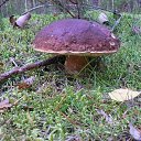 ���� ���������, �����-���������, 61 ��� - ��������� 1 �������� 2013