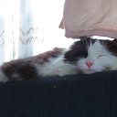 ��� ���� ������� ���,������,����� � ���-��� ��� �������� ����-��� ����� �� ������ � ����� �����? �� ������� ����� ��� ������������