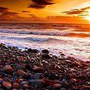 ���� �����, ����, 40 ��� - ��������� 5 ������� 2013 � ������ ���� ����������