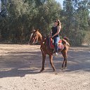 ���� ����, �����-���������, 48 ��� - ��������� 11 ������� 2014 � ������ ���� ����������