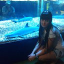 ���� ��������, ������-��-����, 40 ��� - ��������� 14 ������� 2013