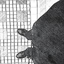 ���� ������, ������, 30 ��� - ��������� 6 ������� 2013