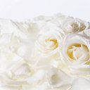 ���� ���������, ������, 61 ��� - ��������� 1 ������� 2013 � ������ ���� ���� ������