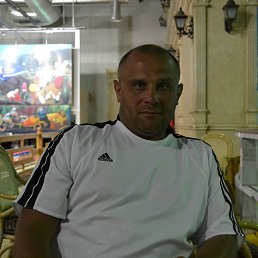 ������, ����, 52 ����