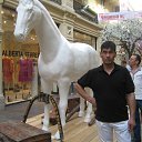 ���� �������, ������������, 50 ��� - ��������� 6 ������� 2013 � ������ �� � ������