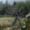 ���� �����, ������ - ��������� 1 ����� 2014 � ������ ���� ����������