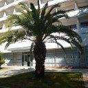 ���� ����., ������, 60 ��� - ��������� 8 ������� 2013 � ������ �� ����� ���� ��������