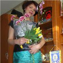 50. �� ������� ���� ����������