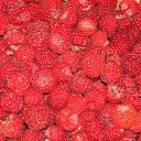 ���� ������, ������ - ��������� 23 ������� 2014 � ������ ���� ����������