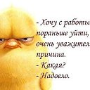 ���� ����, ������ - ��������� 28 ������� 2013 � ������ ���� ����������