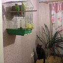 ���� ������, ������� ��������, 59 ��� - ��������� 14 ������ 2014 � ������ ���� ����������