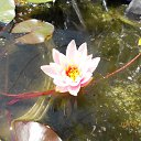 � ��� �� �������. �� ������� ���� ����������