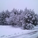 ���� Tarik, ���� - ��������� 11 ����� 2014 � ������ ���� ����������