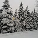 ��� ��� ������ ����� � ��������� �������� ... �� ������� ���� ����������