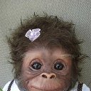 ���� ��������, ����������, 53 ���� - ��������� 15 ������� 2013 � ������ ����������