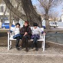  , , 56  -  20  2014   , 