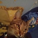 ������� - ������� �������.. �� ������� ���� ����������