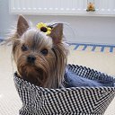 ���� Nicol, ������ - ��������� 27 �������� 2013 � ������ ������ ������ � ���� ��������.������� ^^�