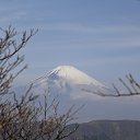 ���� ������, �����-���������, 61 ��� - ��������� 31 ������� 2013 � ������ ������� ������ 2013�