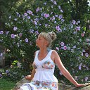 ���� �������, ���������� - ��������� 9 �������� 2013 � ������ ���� ����������