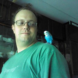 ����, �������, 45 ���