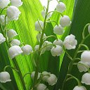 ���� ���������, ������, 61 ��� - ��������� 1 ������� 2013 � ������ ���� ���� ������