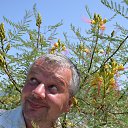 ���� ������, ����, 47 ��� - ��������� 25 ������� 2014