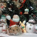 � ����� �����! �� ������� ���� ����������