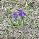 ���� �����, ������, 67 ��� - ��������� 21 ������� 2013 � ������ ���� ����������