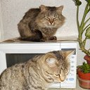 �������� �������... �� ������� ���� ���� � ������ ��������