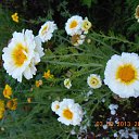 ���� ��������, ���������, 63 ���� - ��������� 12 ������ 2013 � ������ ���� ����������