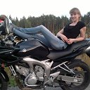 ���� ������, ������������ - ��������� 9 �������� 2013 � ������ ���� ����������