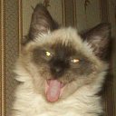 ���� ���������, ������������, 58 ��� - ��������� 24 ������ 2013