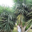 ���� ������, ��� - ��������� 3 ������� 2014 � ������ ������� ������� 2013�