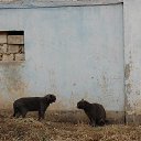 ��� ��� ���������� ��� �������... �� ������� �����������,���������...�