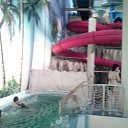 ���� ����, ���������, 67 ��� - ��������� 22 ������ 2013 � ������ ���� ����������