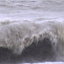 ���� �������, ��������, 47 ��� - ��������� 20 �������� 2013 � ������ ���� ����������