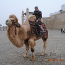  Sherzod, , 47  -  23  2014