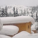 ���� �������, ������, 47 ��� - ��������� 9 ����� 2014 � ������ ���� ����������