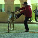 ���� �����, ������, 55 ��� - ��������� 23 ������� 2014 � ������ ���� ����������