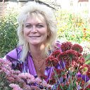 ���� �����, ������� - ��������� 18 ������� 2013 � ������ ���� ����������