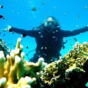 ���� ��������, ������ - ��������� 9 ������ 2013 � ������ ���� ����������