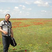 ������, 60 ���, ���������