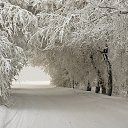 ���� ������, ���������, 52 ���� - ��������� 6 ������ 2013 � ������ ���� ����������