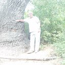 ���� ��������, ������, 62 ���� - ��������� 24 ������� 2013 � ������ ���������������� ����������