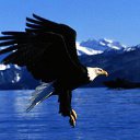 �������, � ����� ��� ������-��������� �� � ��������, � � �������? ����� � ������ ������ ������, � ����� ������ ���� ������ � ������ ��������� ��-�������...)))) �� ������� ���� ����������