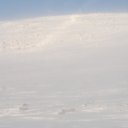 ���� �������, ������, 47 ��� - ��������� 9 ����� 2014 � ������ ���� ����������