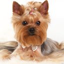 ���� Nicol, ������ - ��������� 27 �������� 2013 � ������ ������ ������ � ���� ��������.������� ^^�